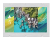 1741163925271697.png