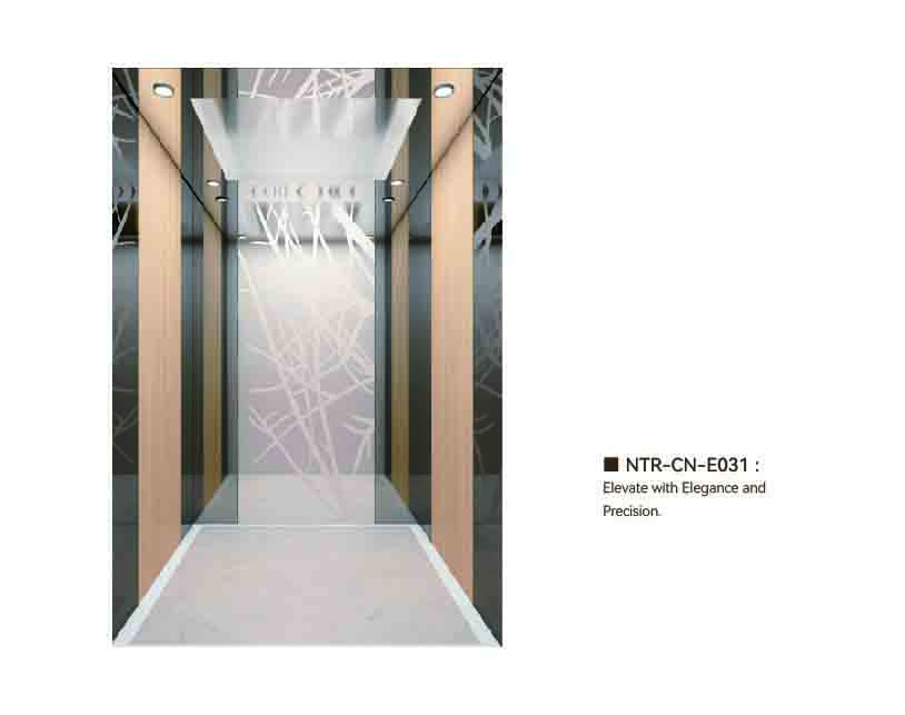 NTR-CN-E031