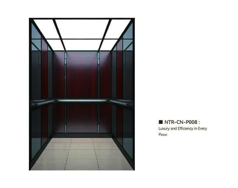 NTR-CN-P008
