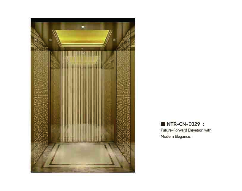NTR-CN-E029
