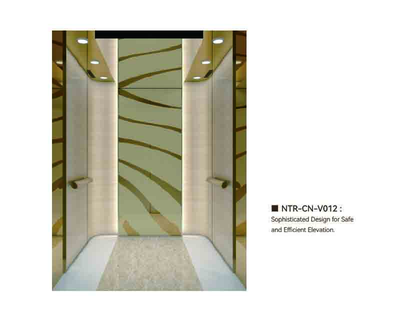 NTR-CN-V012