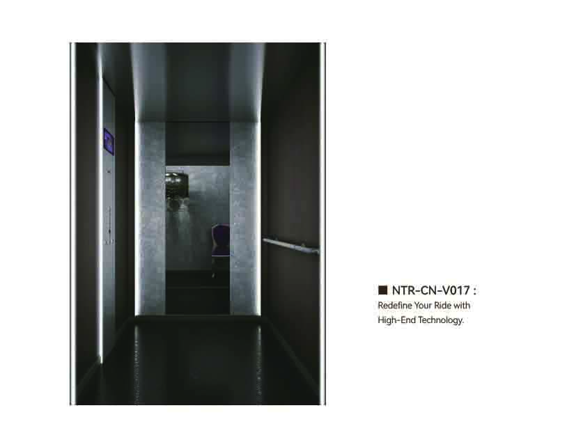 NTR-CN-V017