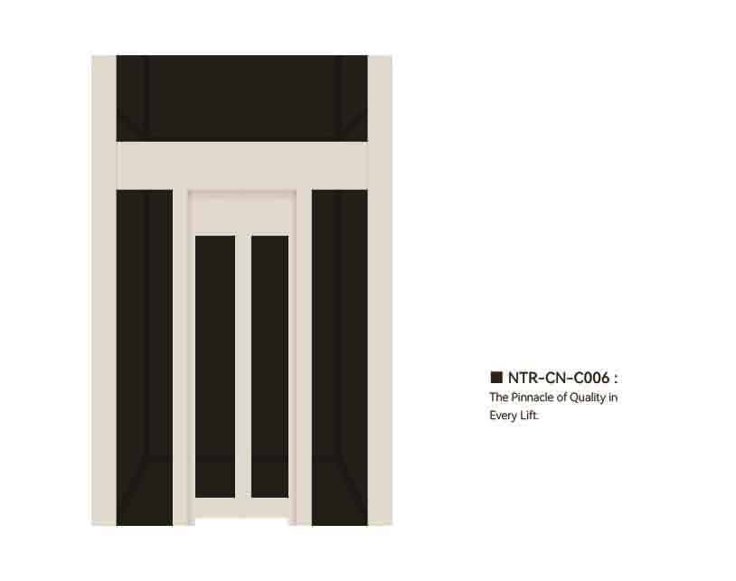 NTR-CN-C006