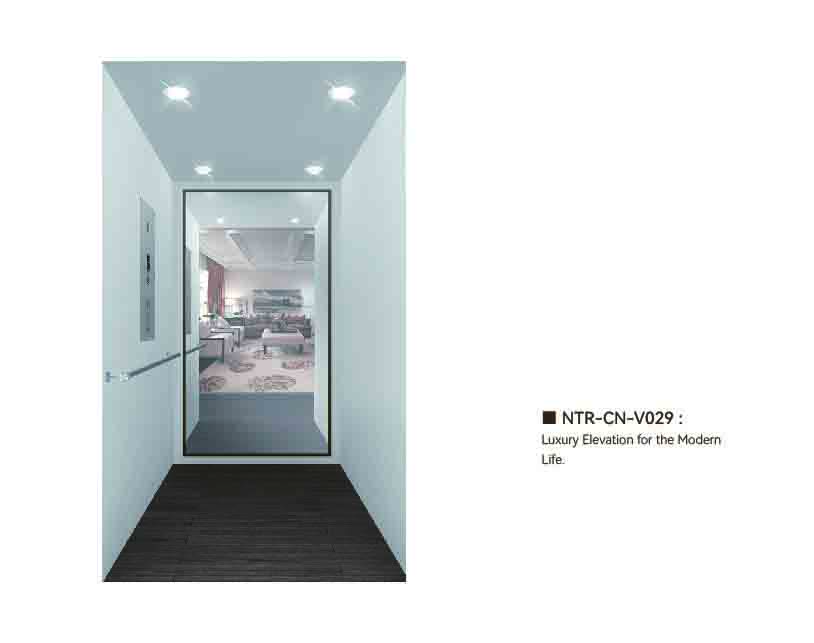 NTR-CN-V029