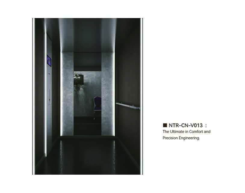 NTR-CN-V013