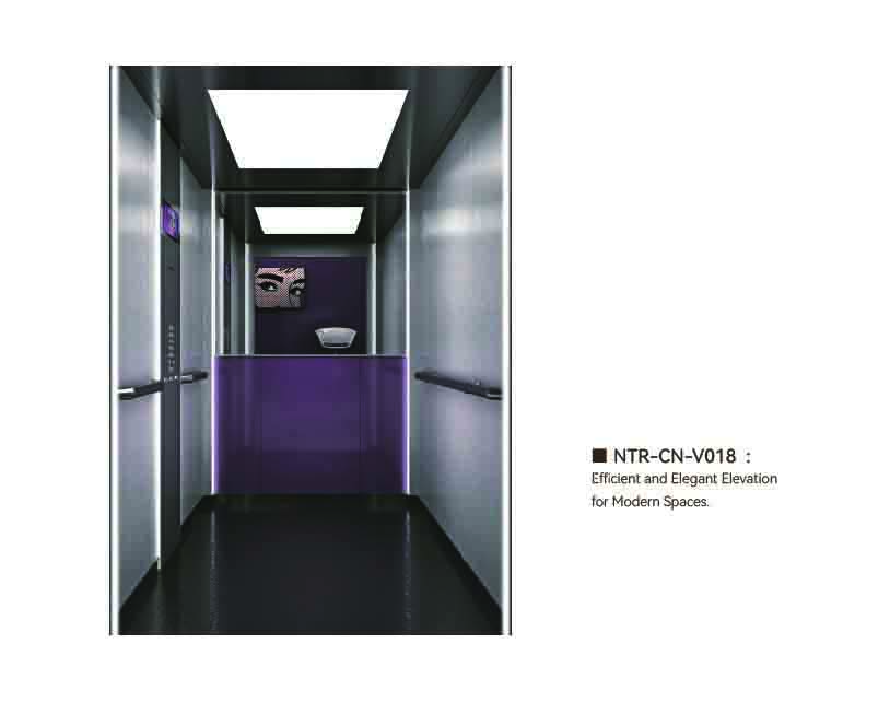 NTR-CN-V018