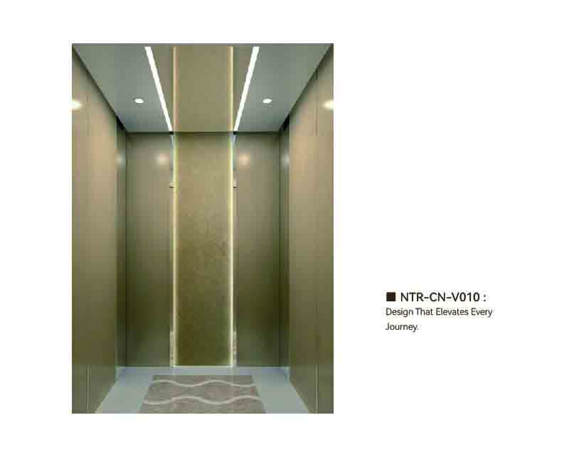 NTR-CN-V010