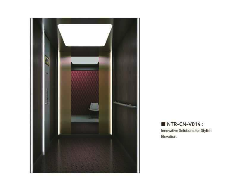 NTR-CN-V014