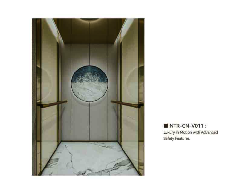 NTR-CN-V011