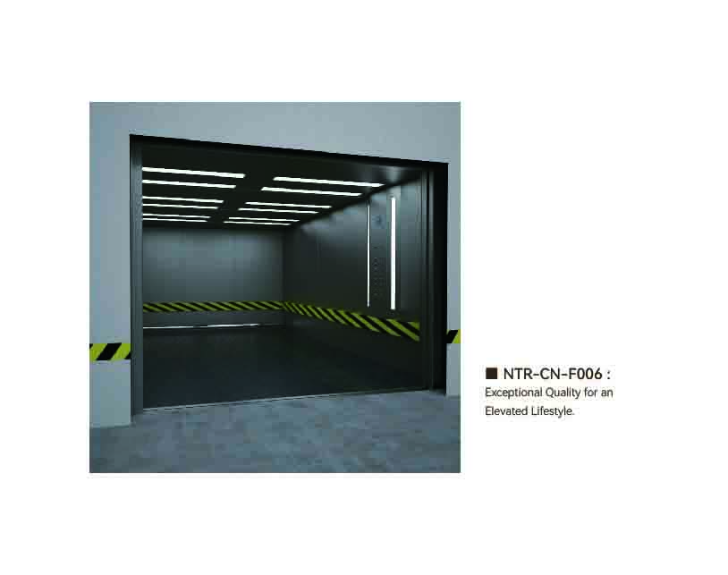 NTR-CN-F006