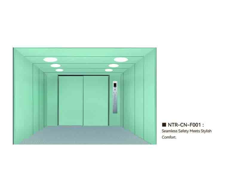 NTR-CN-F001