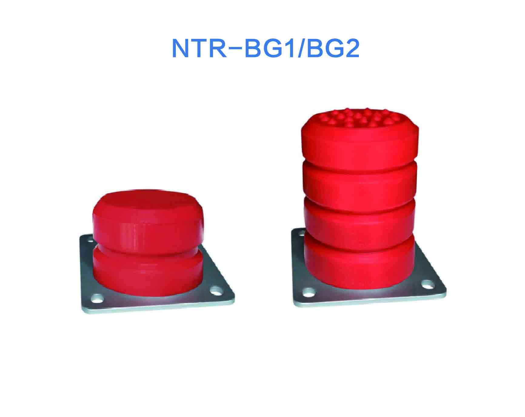 NTR-BG1/BG2
