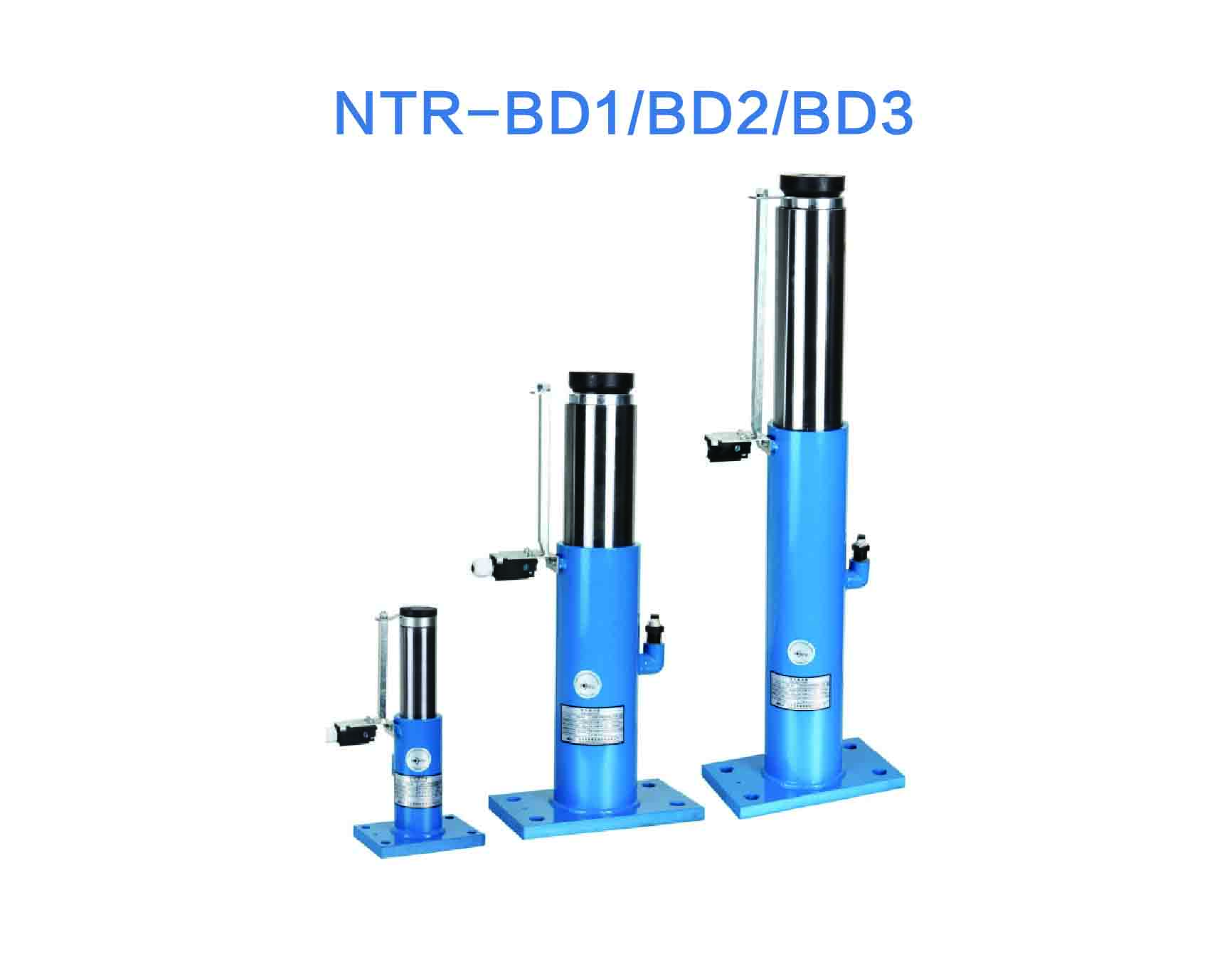 NTR-BD1 BD2 BD3