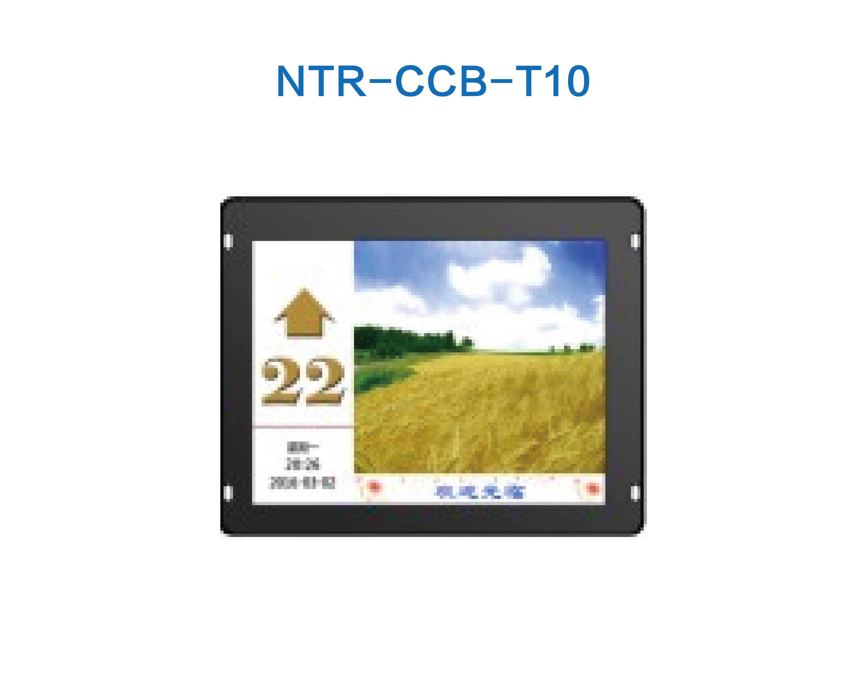 NTR-CCB-T10