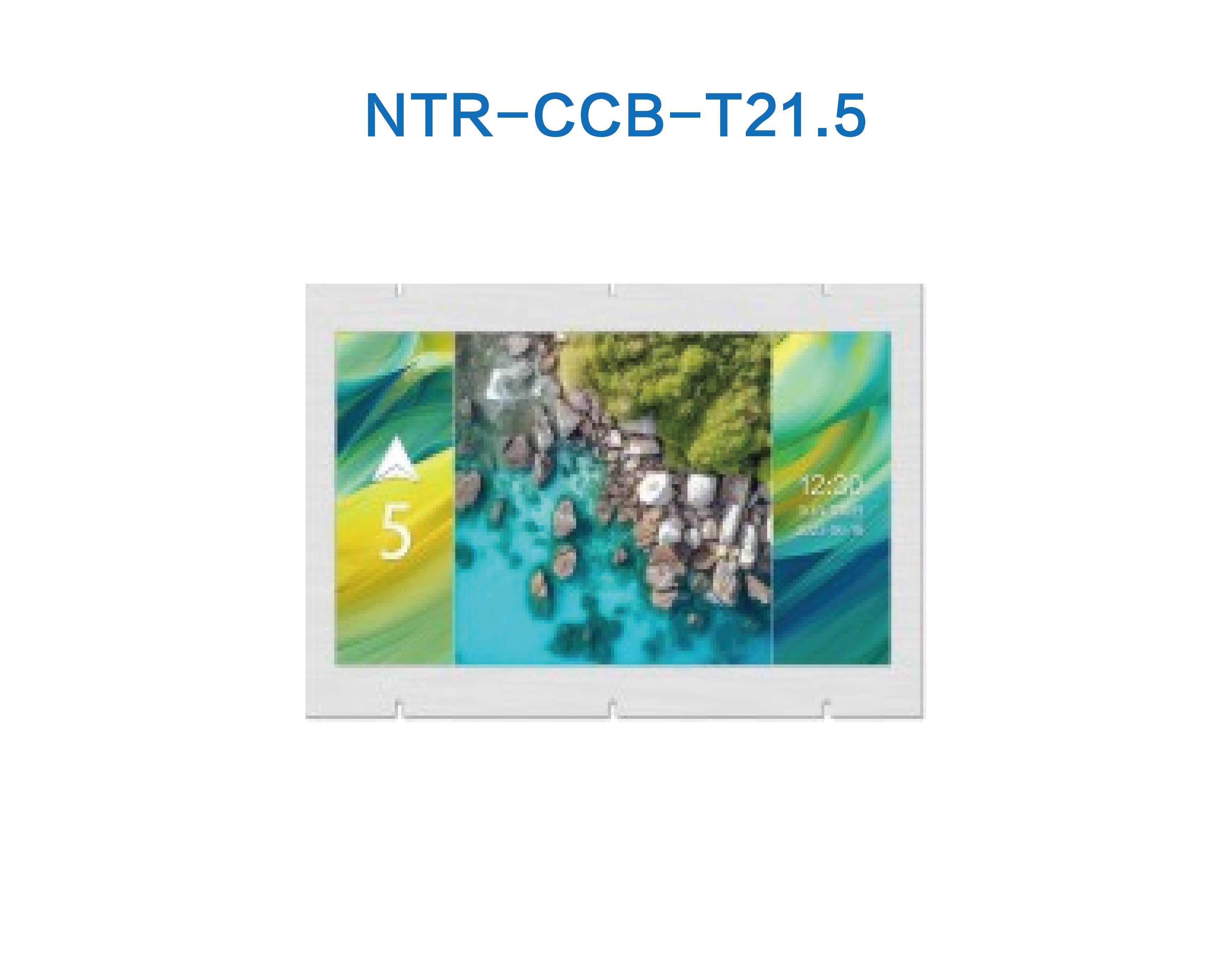 NTR-CCB-T21.5