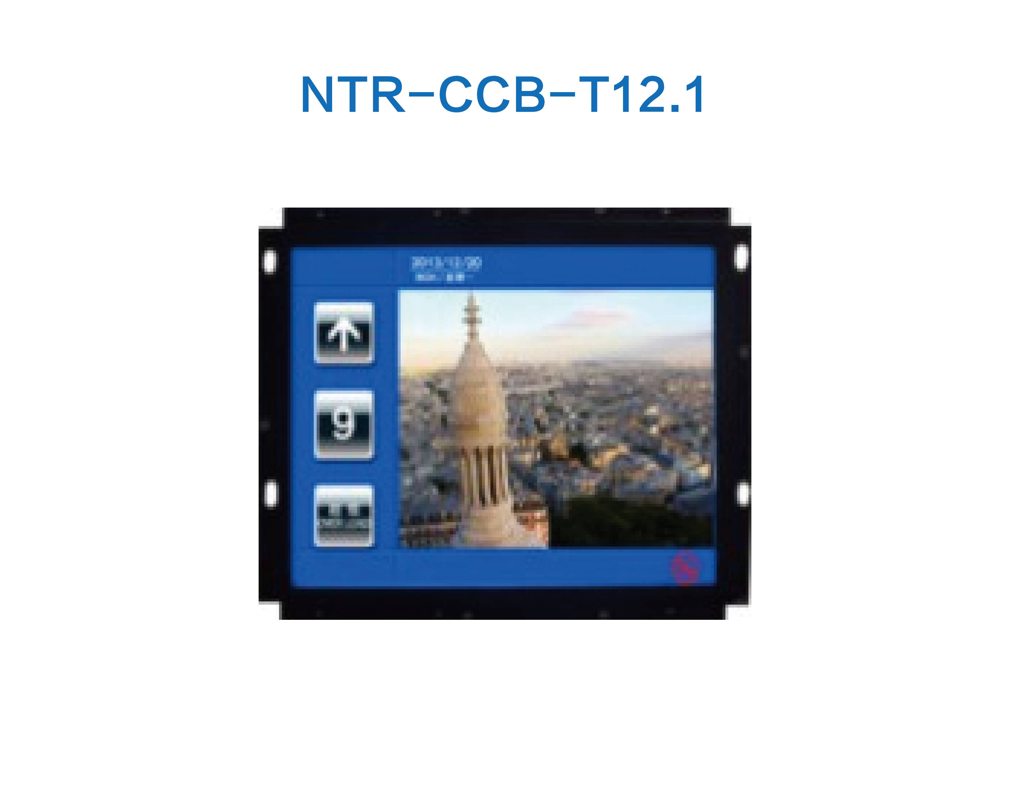 NTR-CCB-T12.1